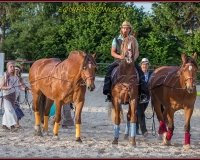 2-13JUIN 0891